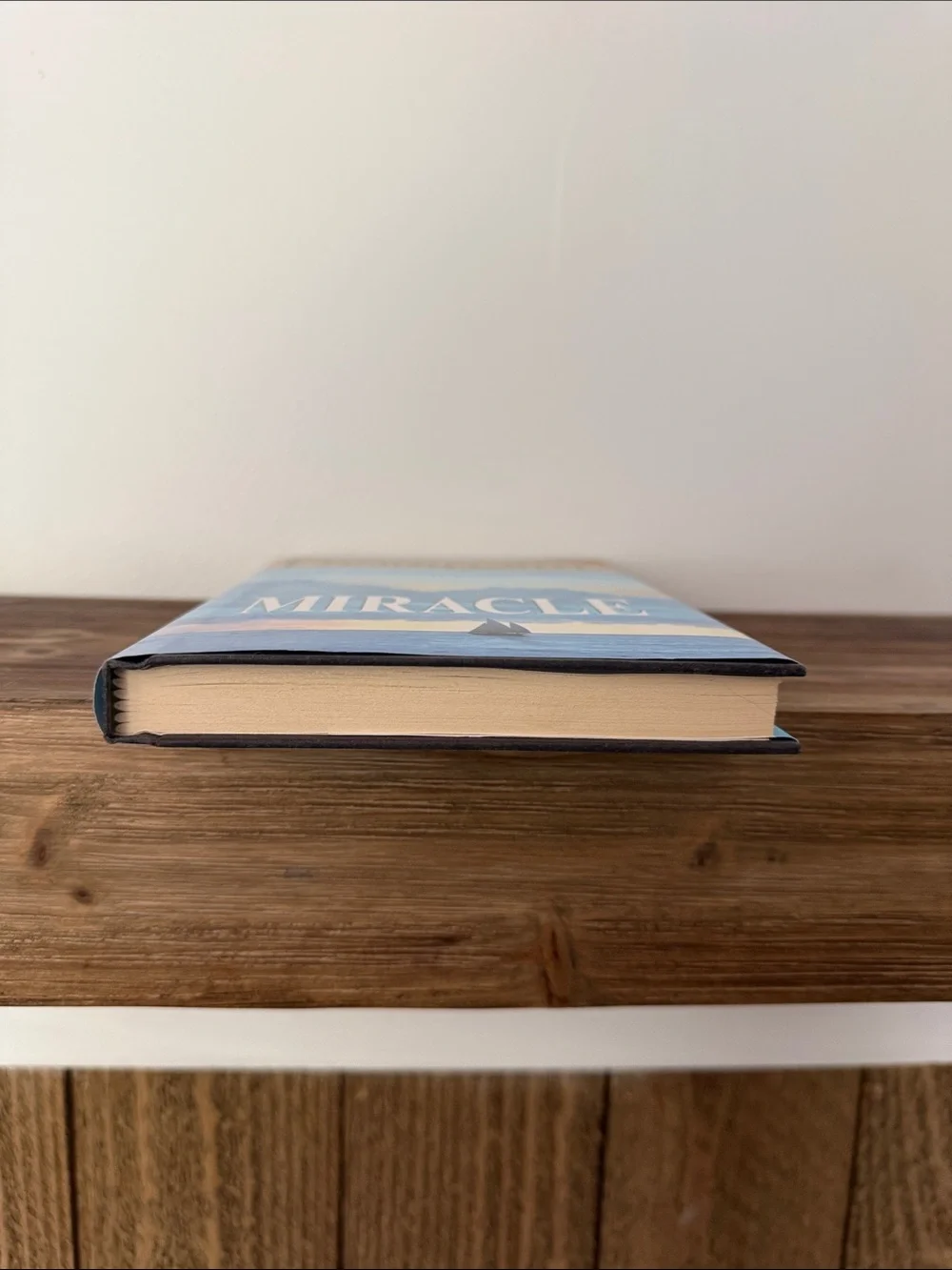 Danielle Steel: Miracle Hardcover
